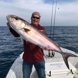 Meet your Posher, Billy